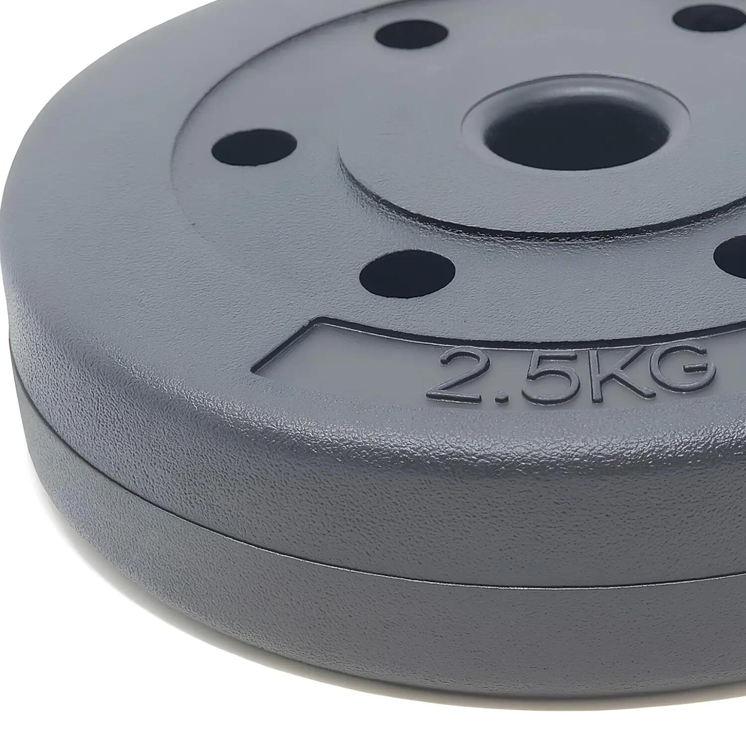 Disco in PVC-Vinile da 2,5 Kg - Foro 30 mm | Fitness 5/6