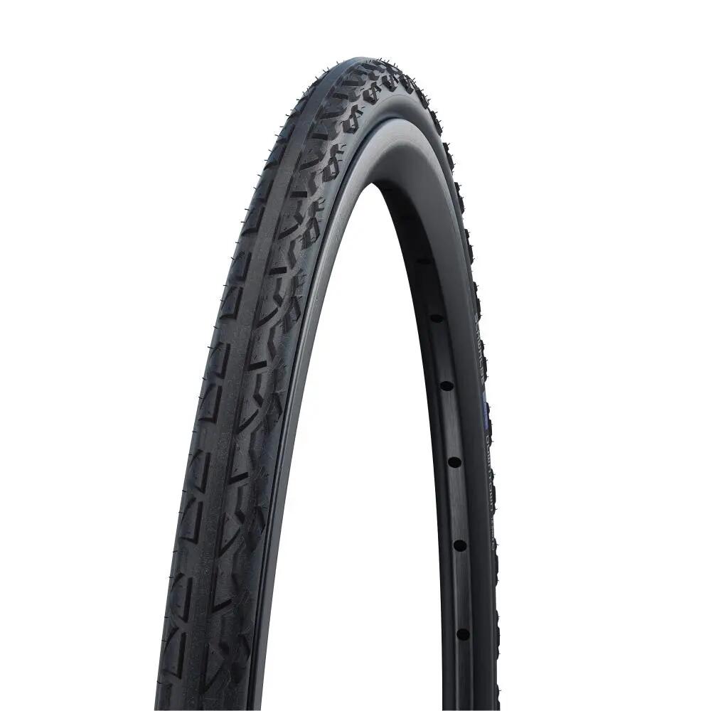 SCHWALBE picture