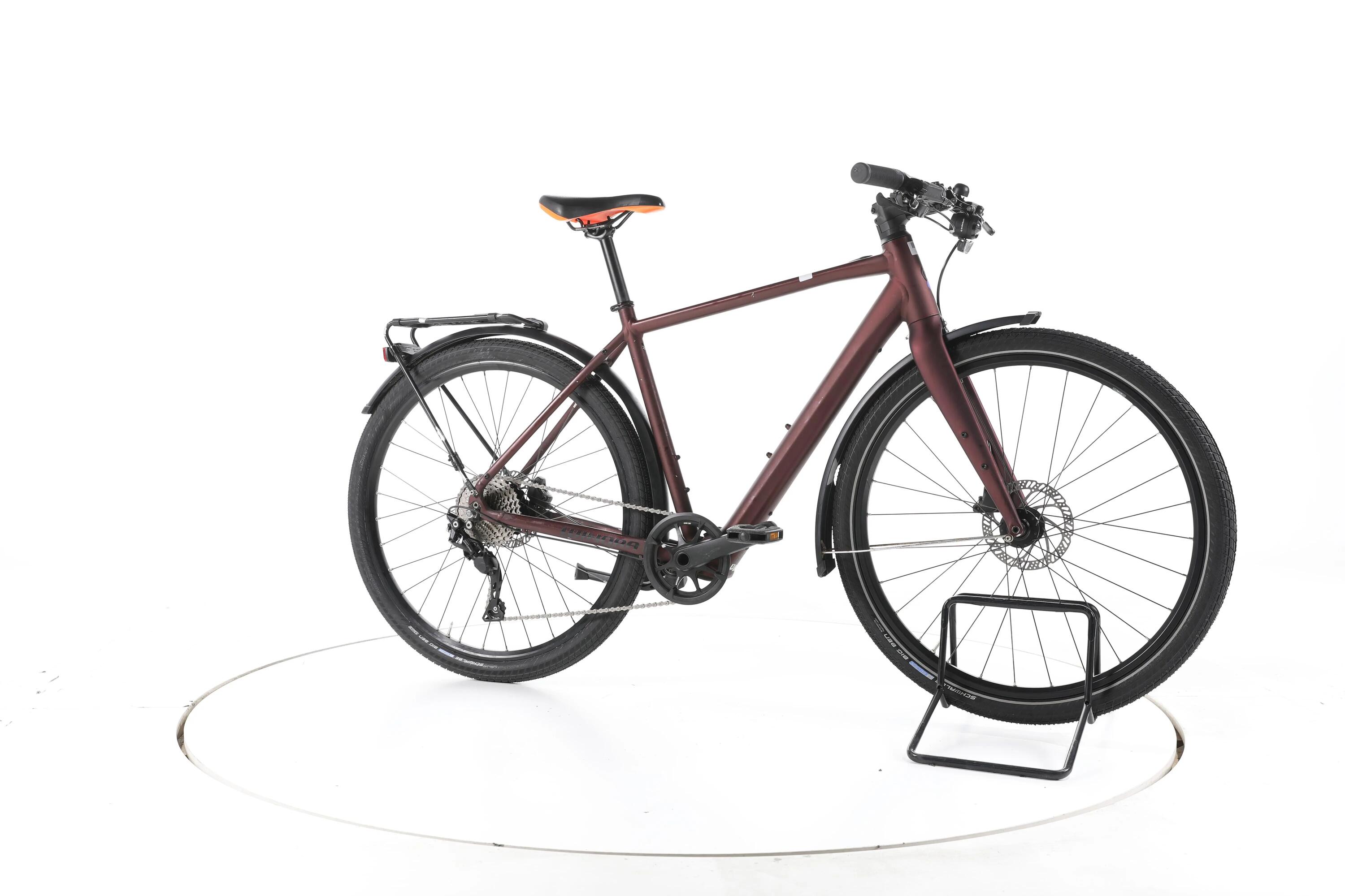Ebike ricondizionata · Winora E-Flitzer · Ottime condizioni 2/7