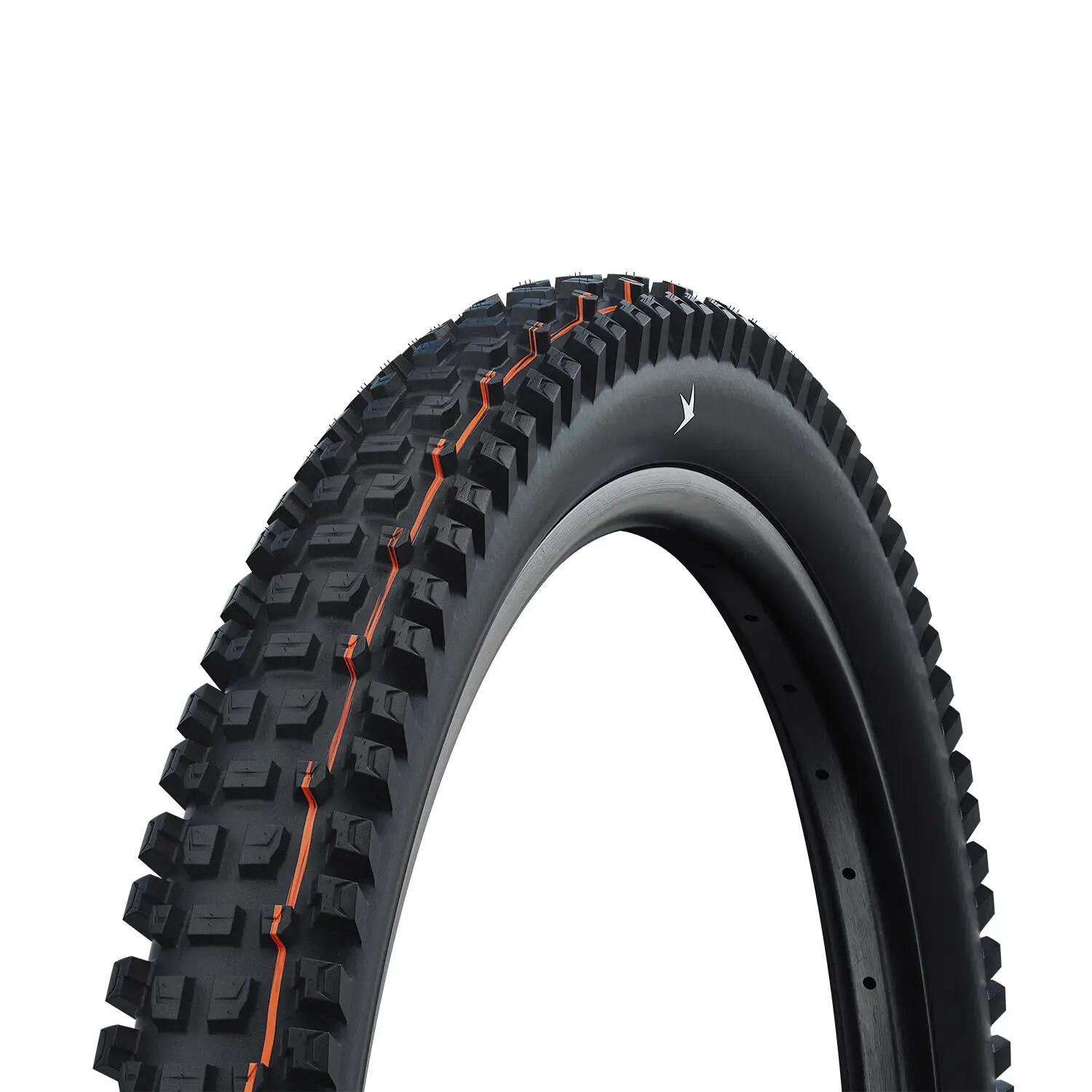 SCHWALBE picture