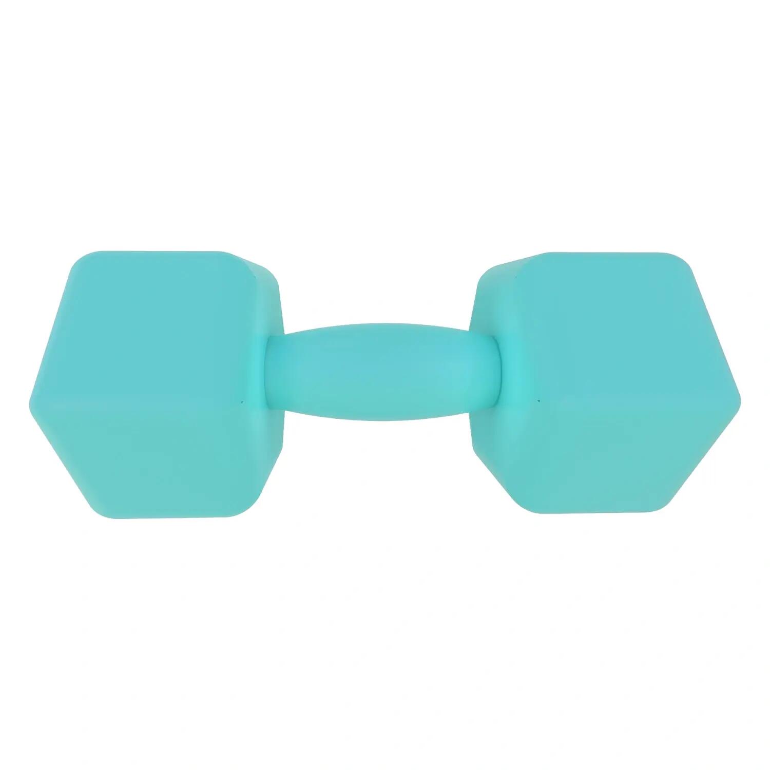 Manubrio in Vinile da 4 Kg - Antiscivolo | Fitness 2/6