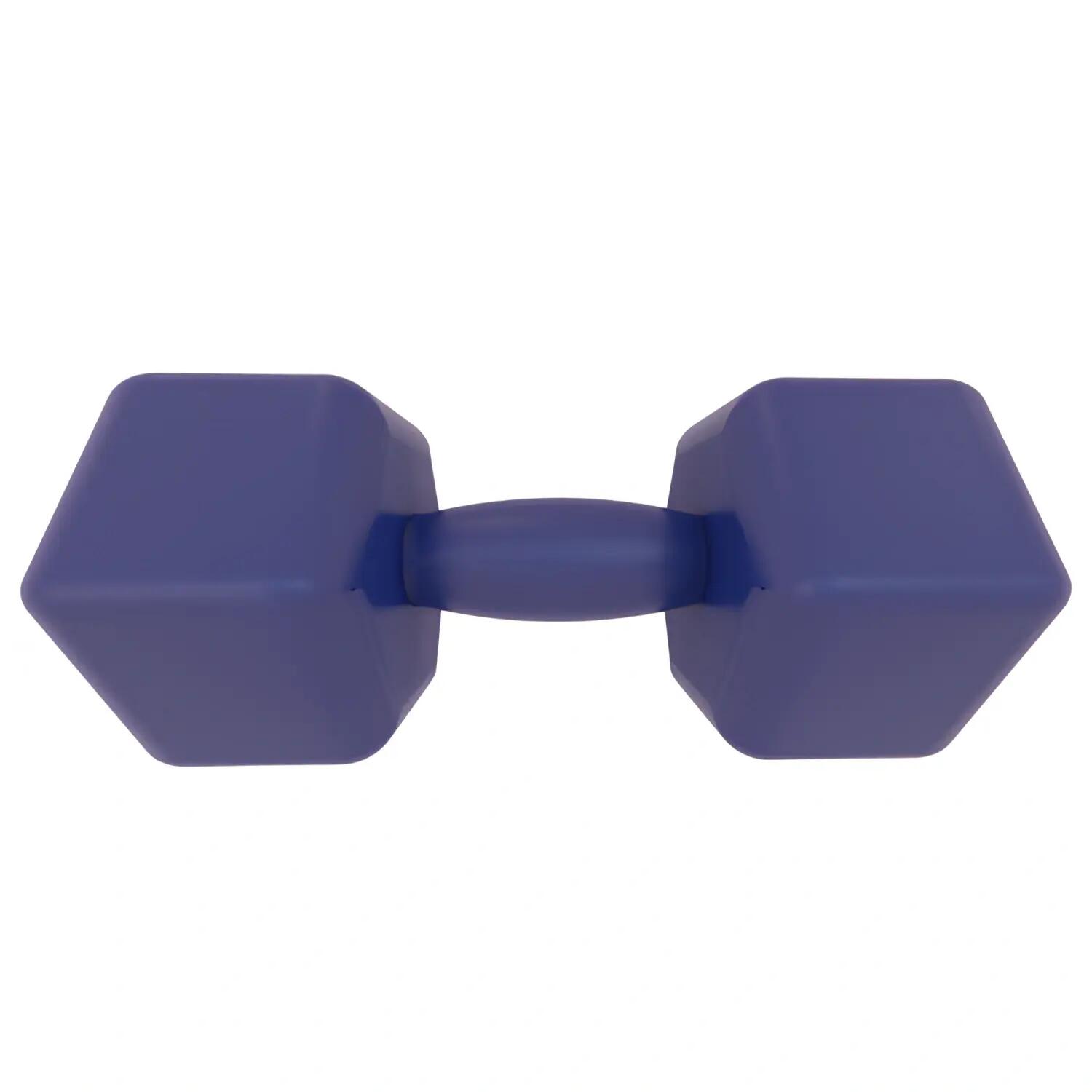 Manubrio in Vinile da 10 Kg - Antiscivolo | Fitness 4/6