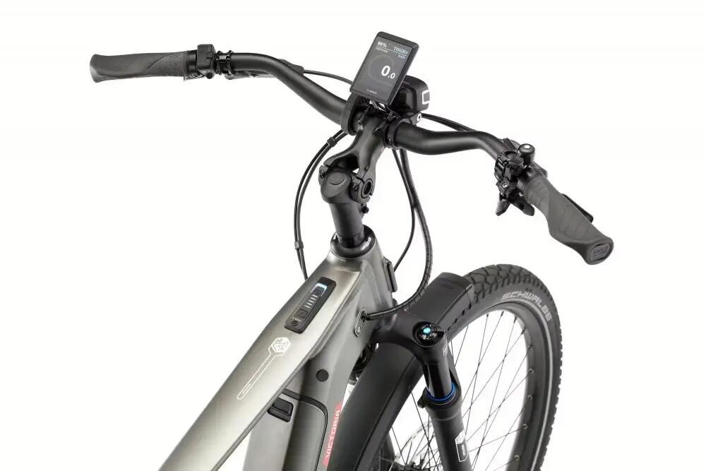 VICTORIA elektrische urbanfiets "UTILYON 6" (#1), unisex, 29", antracietgrijs, S 3/3