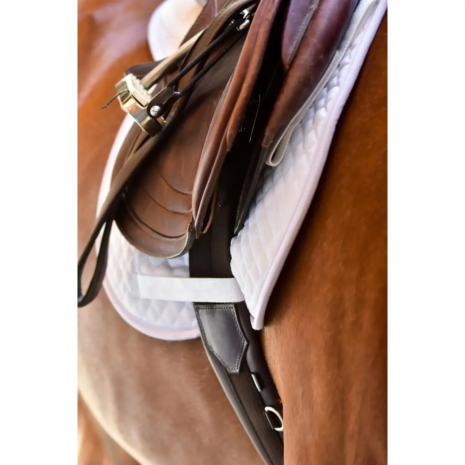 Cinghia per cavallo multiuso ThinLine 3/3