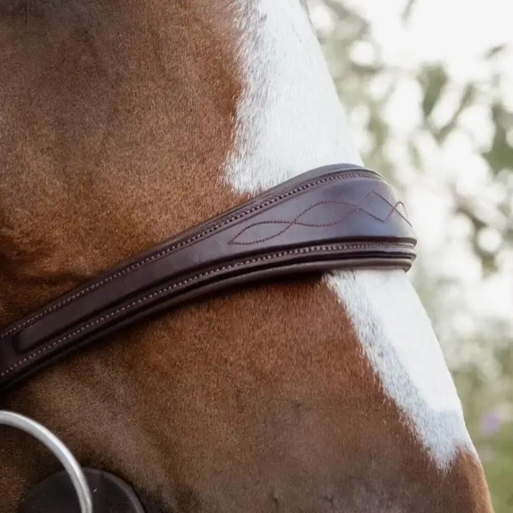 Bridon Dyon Nieuwe Engelse Collectie Anatomisch Marron 2/3