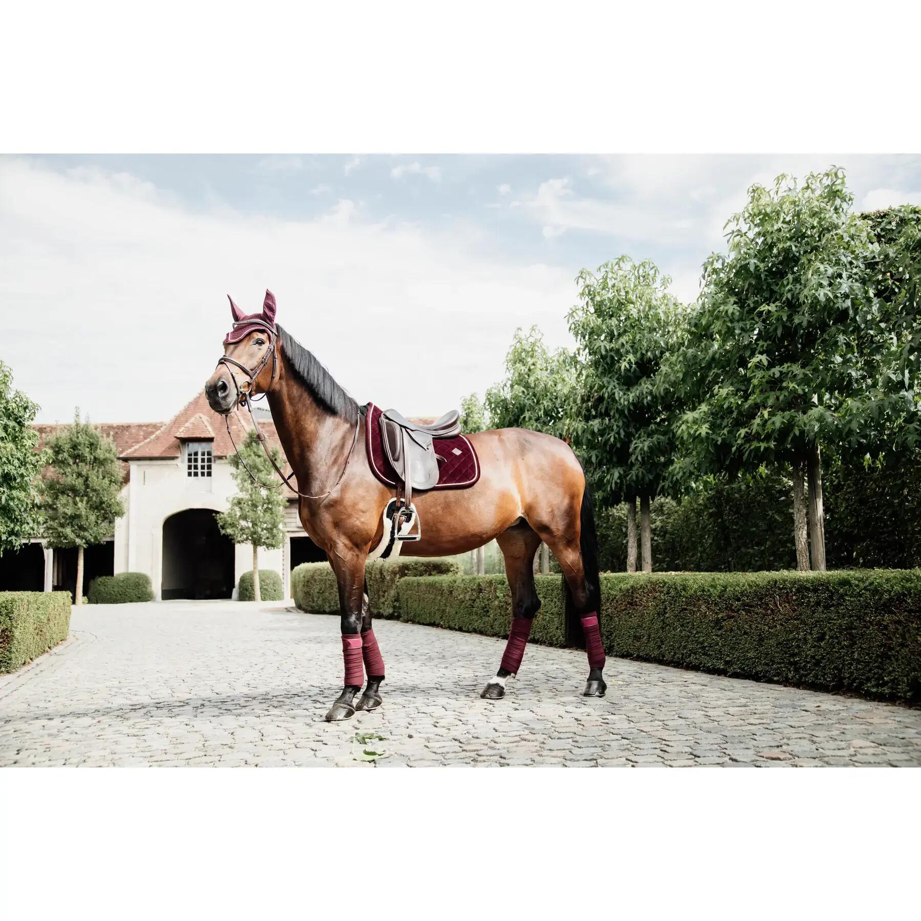 Vendas polo equitación Kentucky 2/7