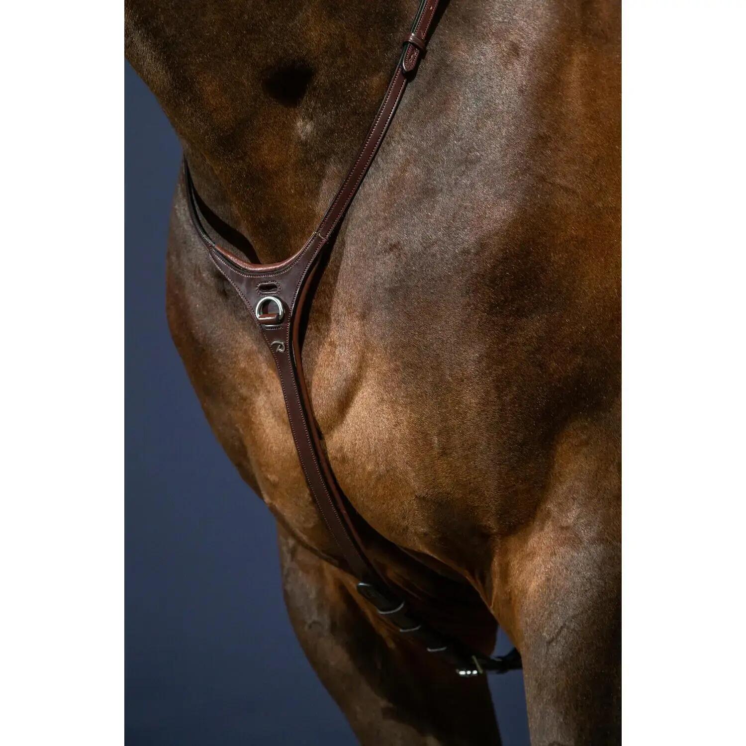Collier de chasse pour cheval Dy'on Yoke 2/3