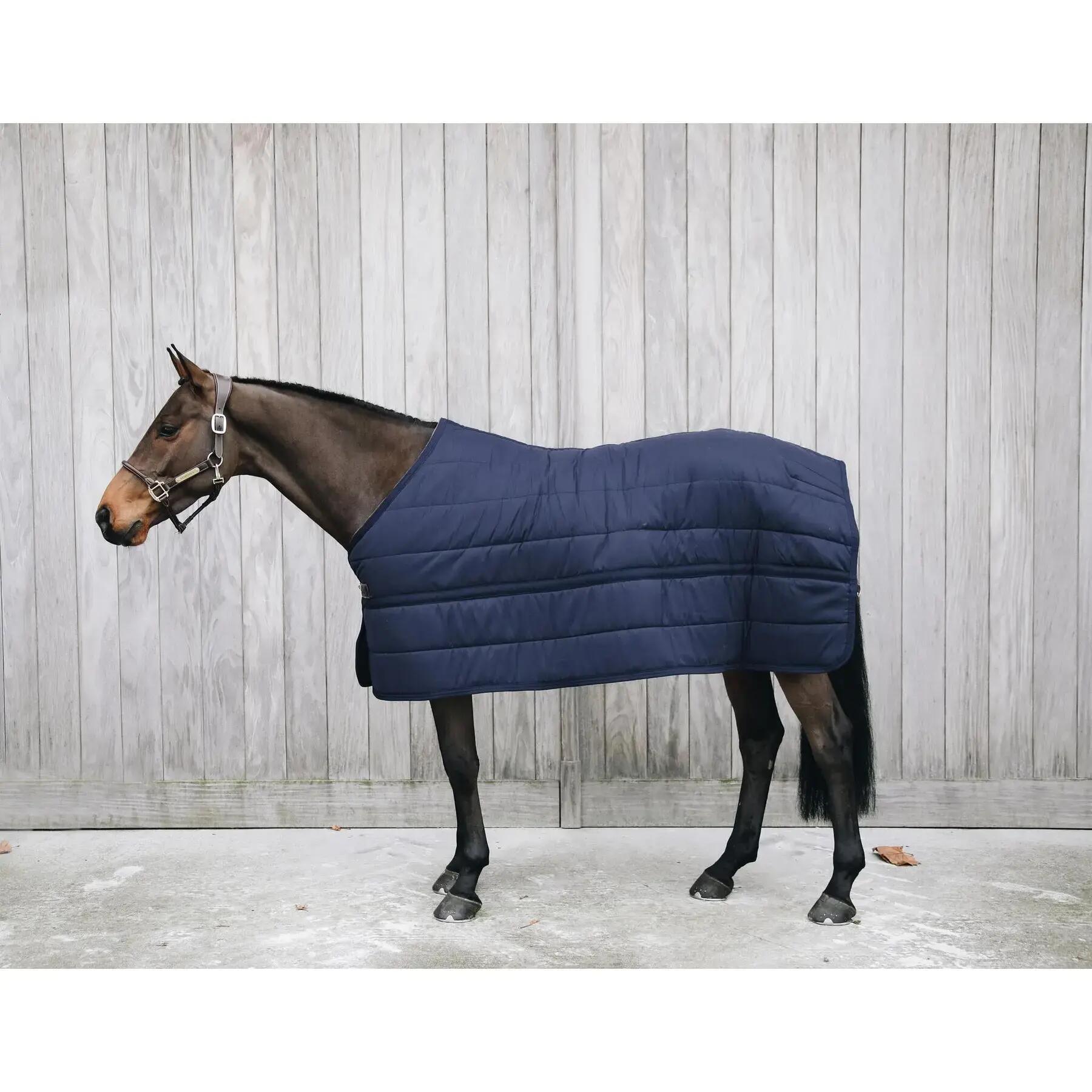 Under Rug skin friendly navy 165 7'3 300 gram 2/6