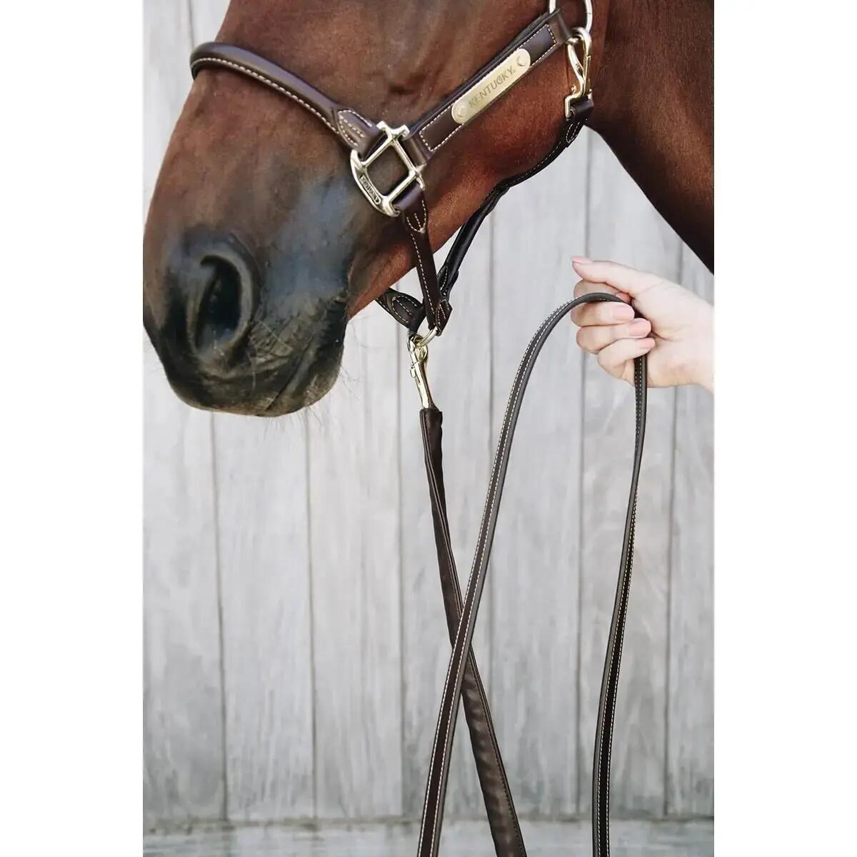 Presentation Horse Lead Rope Kentucky 2/7