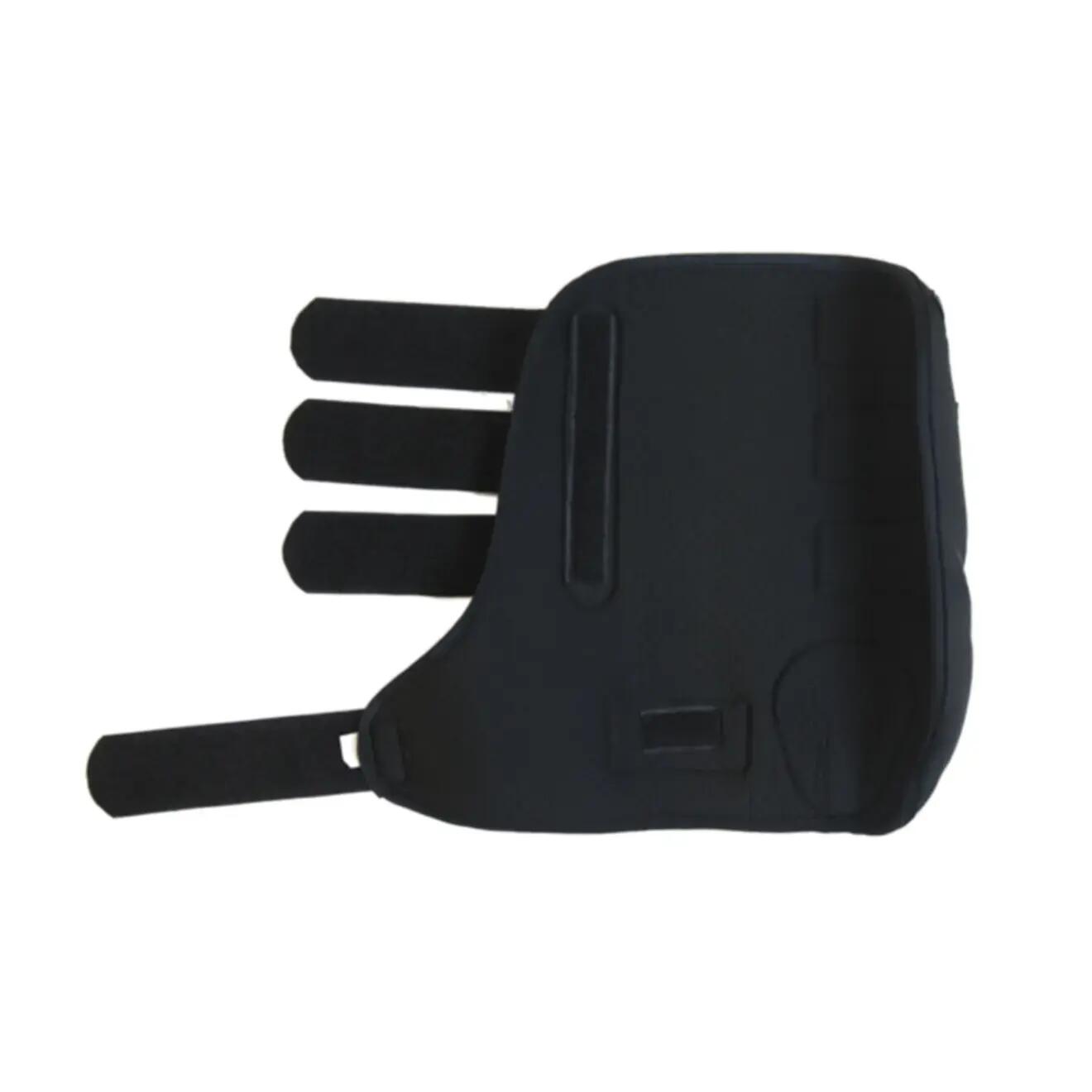 Coque extérieure de transport pour cheval gauche Kentucky 2/2