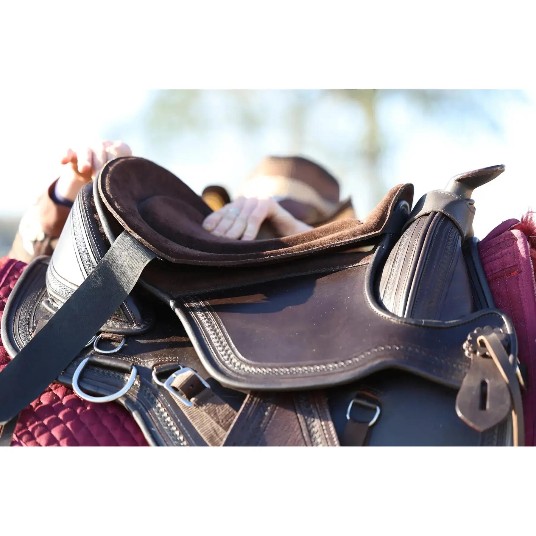 EDIX SADDLES picture