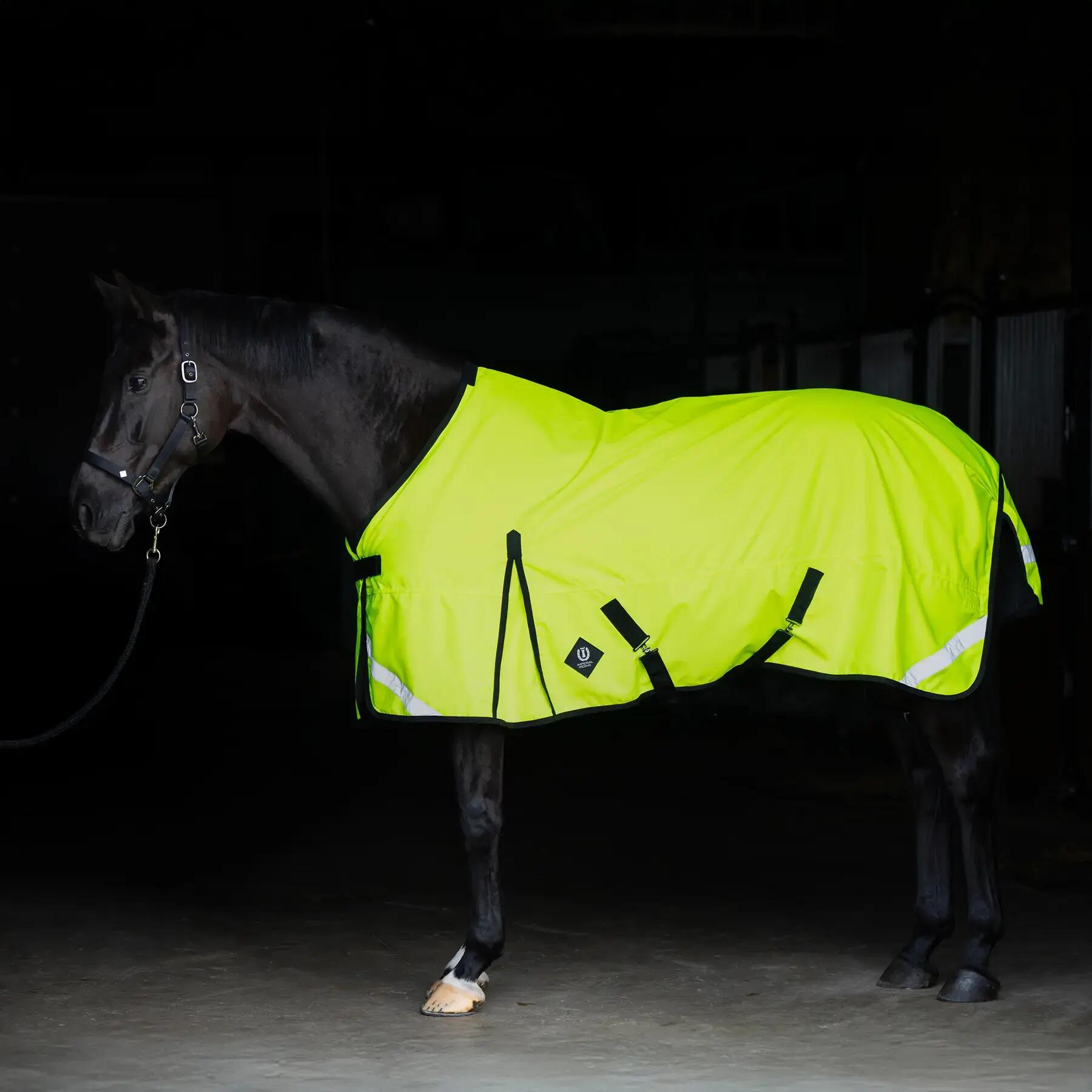 Coperta da paddock per cavalli Imperial Riding Reflective 100g 7/7