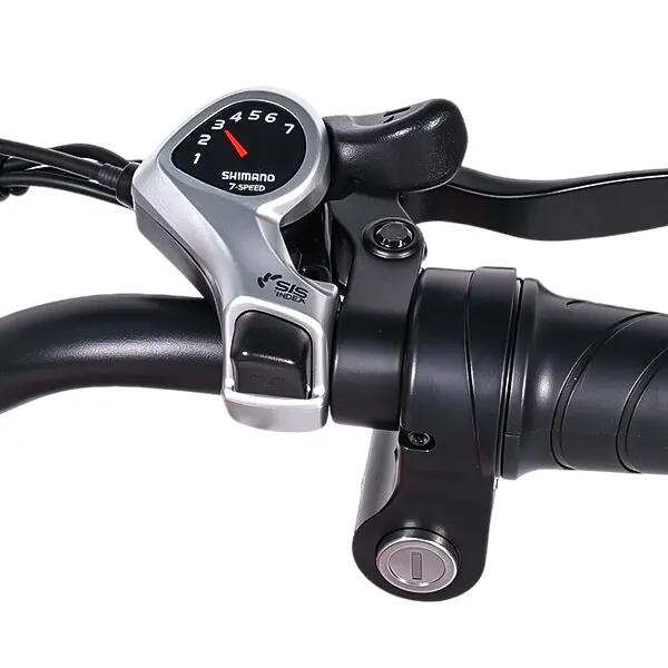 Mestský elektrobicykel ESKUTE C202-SO 26", 48 V 17,5 Ah 6/7