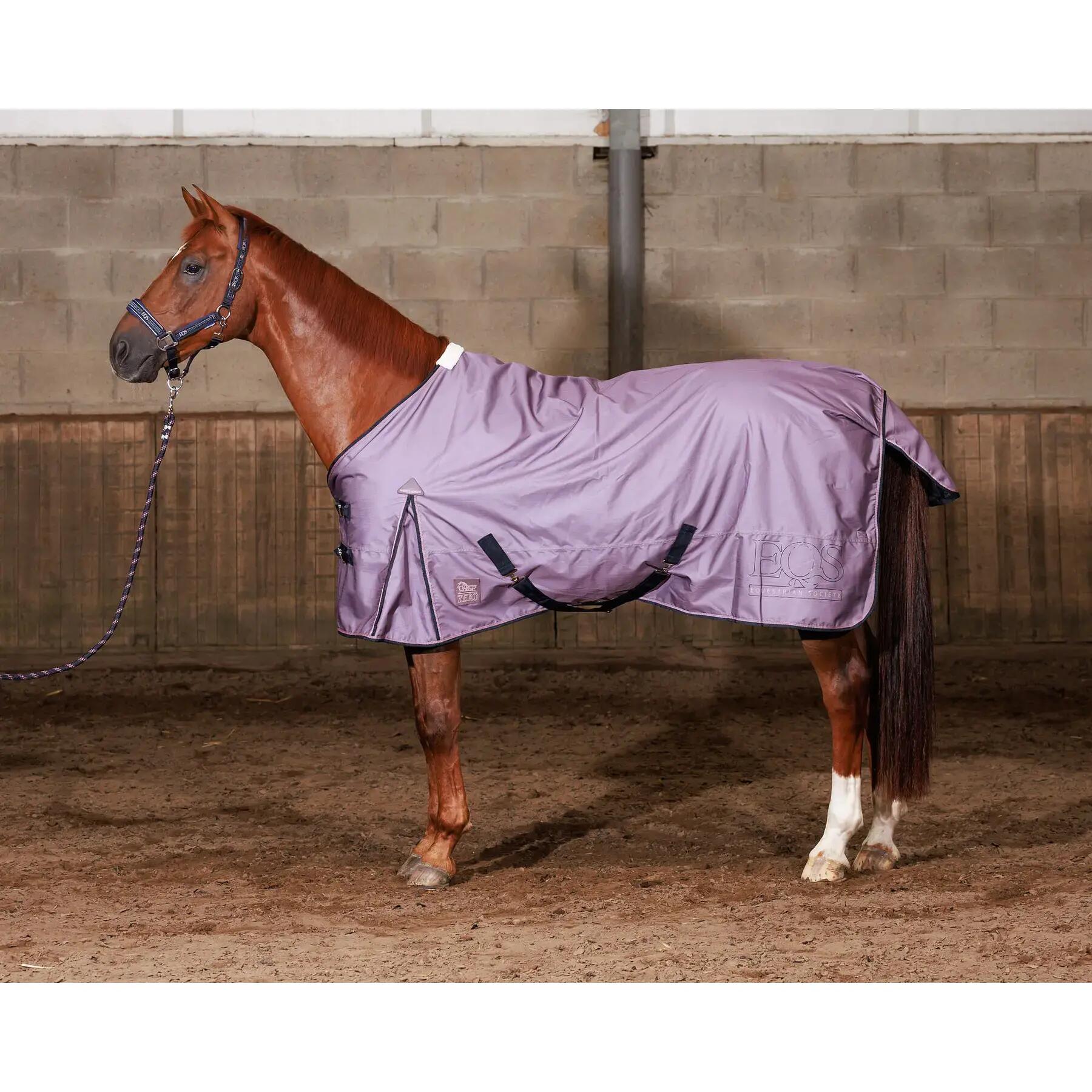 HARRYS HORSE picture