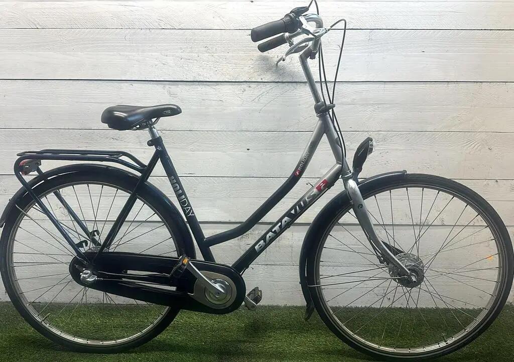 BATAVUS picture