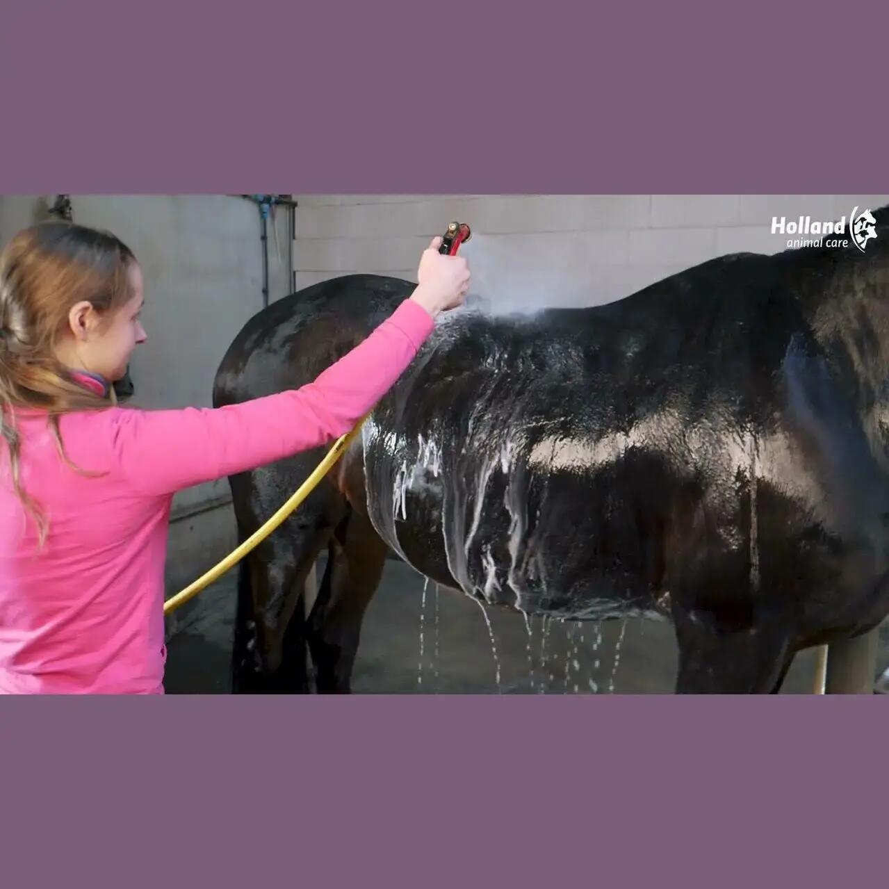 Excellent Horse Grooming Brush L Zwart 2/2