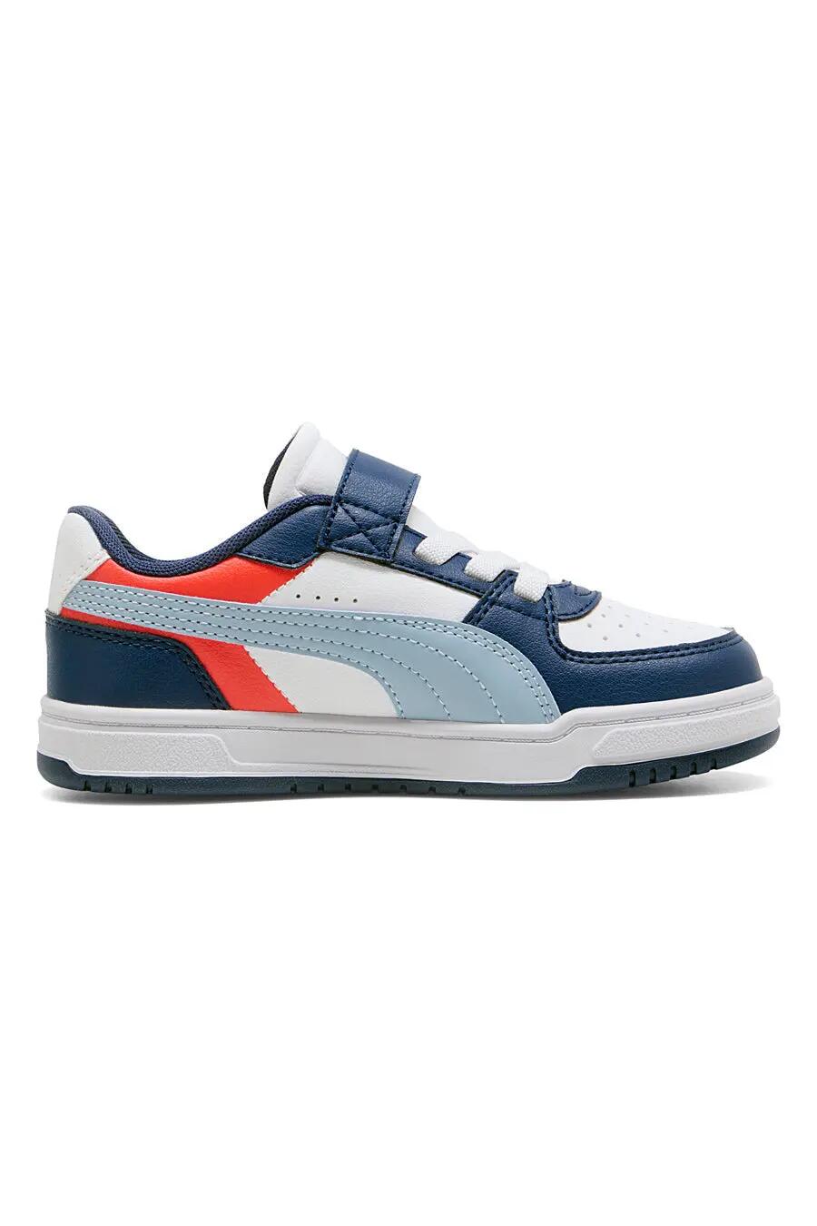 PUMA picture
