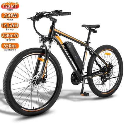 Vélo électrique Fafrees F28 MT, moteur 250 W, batterie 36 V 14,5 Ah, 25Km/h