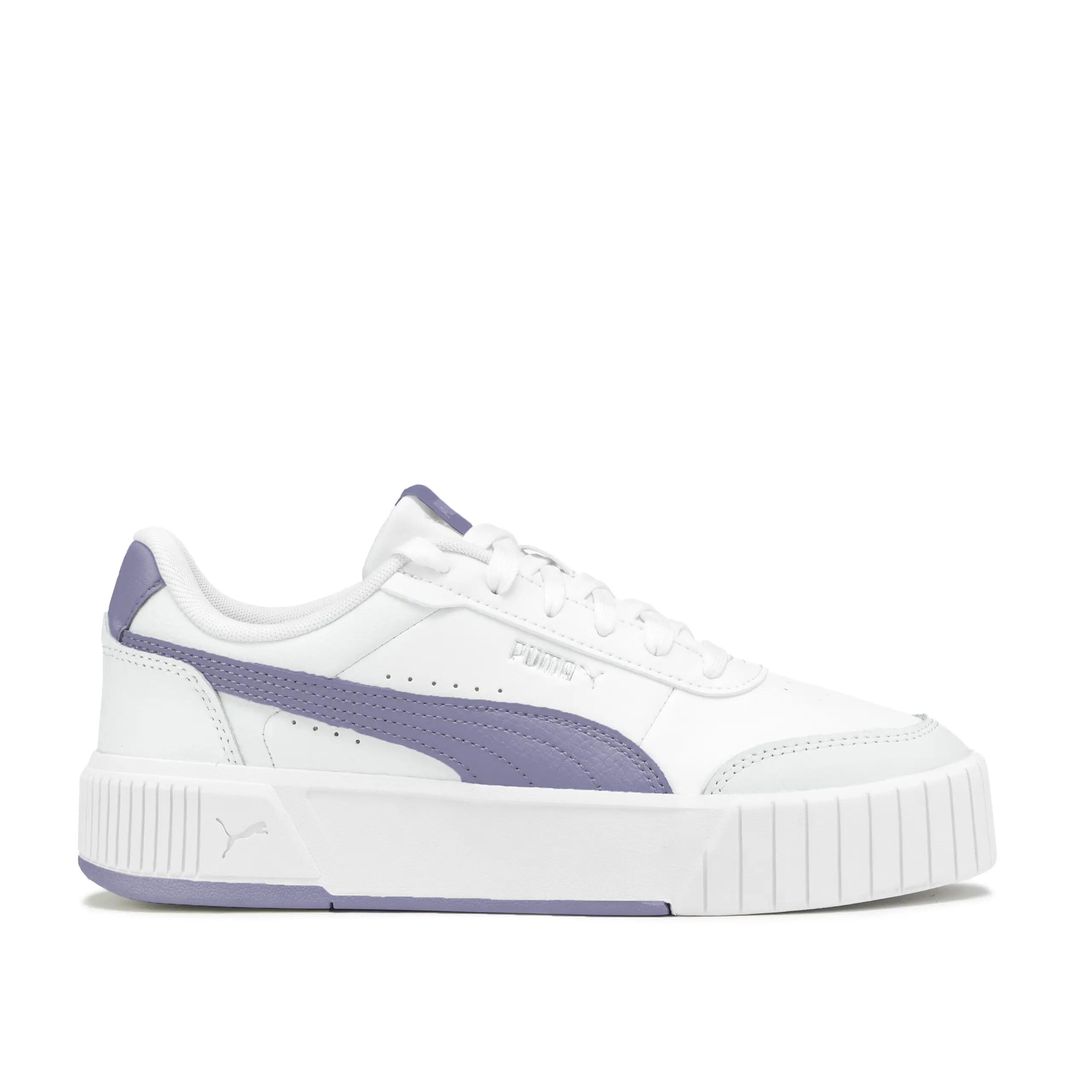 PUMA picture