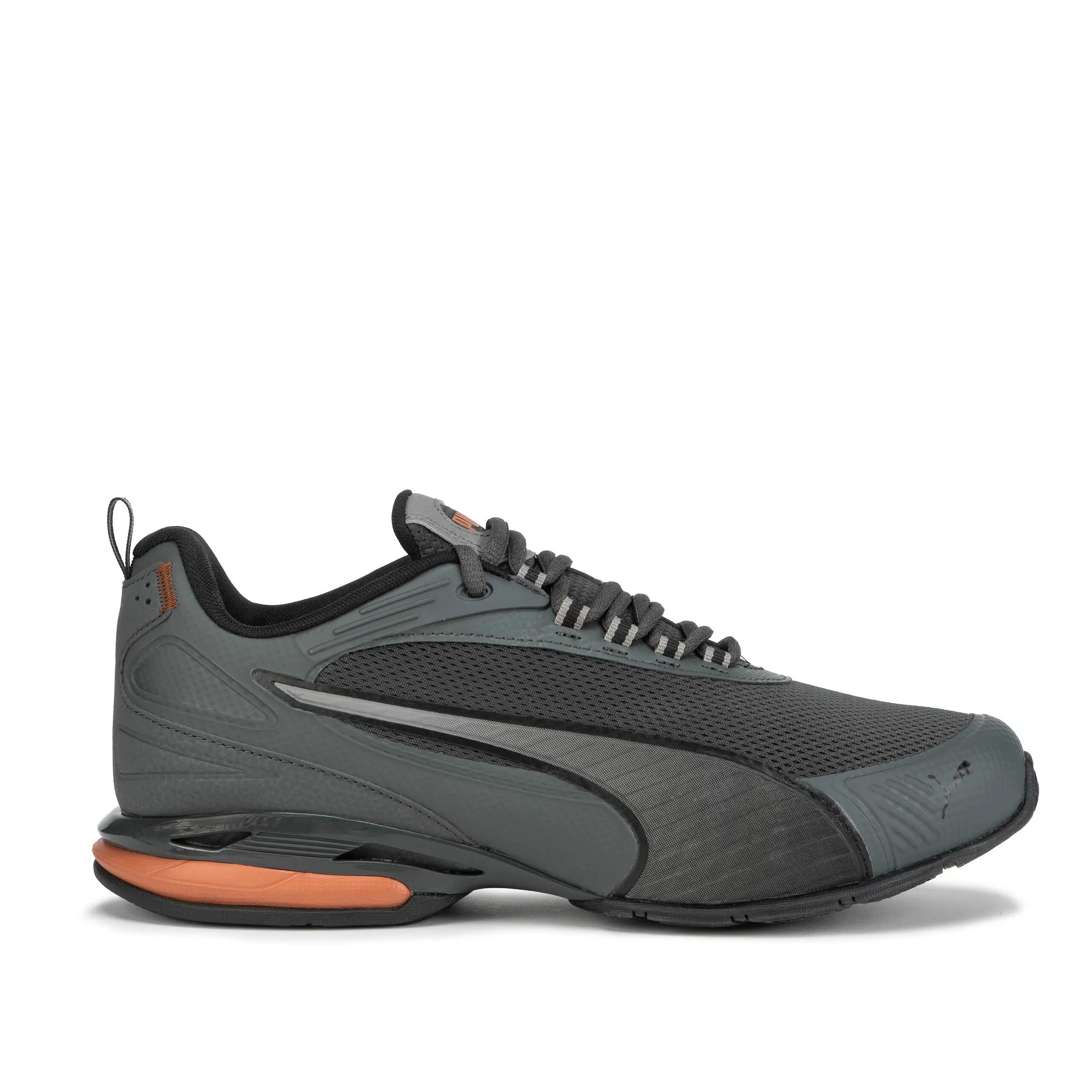 PUMA picture