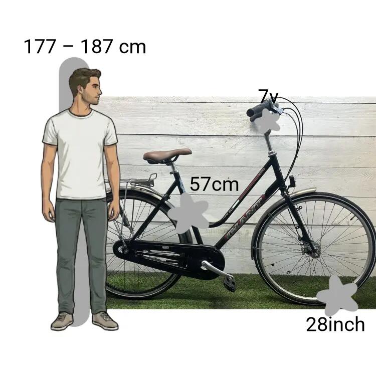 Gebraucht Giant Auckland 2/4