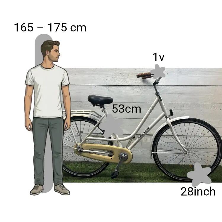 Bicicleta usada Robuust Comfort 2/4