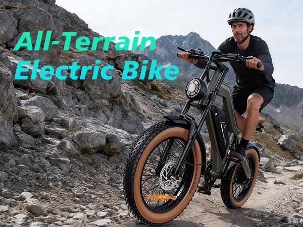 M20 Bici Elettrica 48V 18.2Ah Pneumatico All-Terrain 20" 6/8