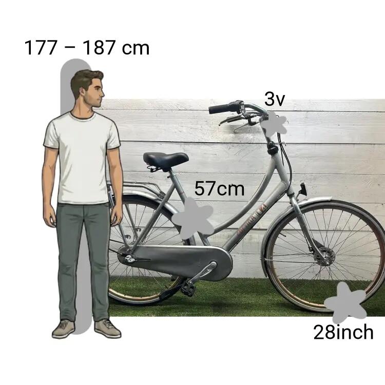 Gebraucht Cortina U4 2/4