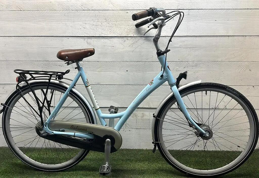 BATAVUS picture