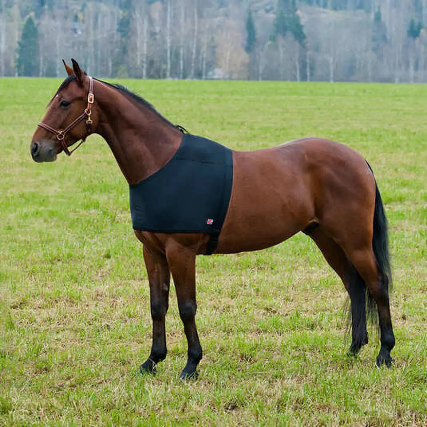 HORZE picture
