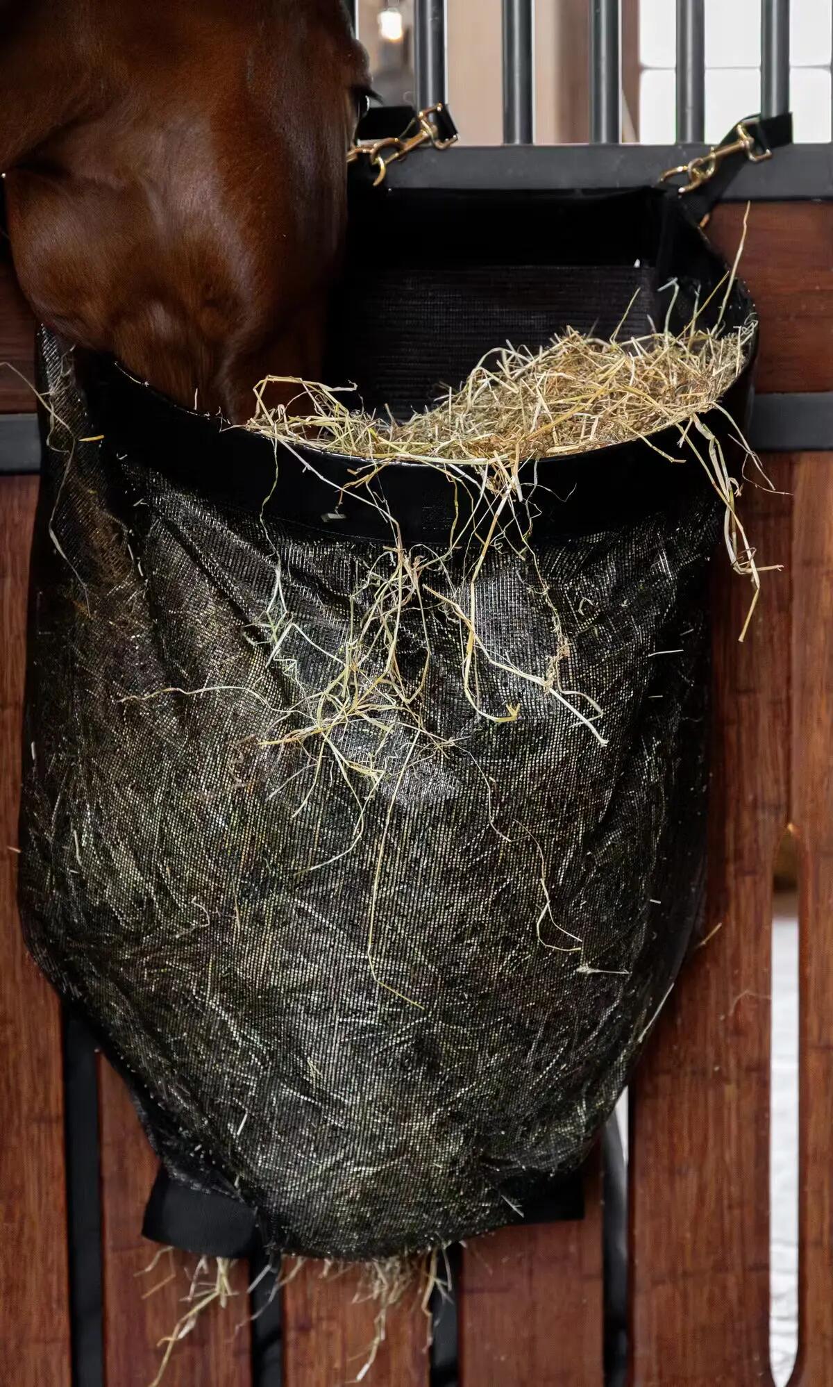 KENTUCKY HORSEWEAR picture