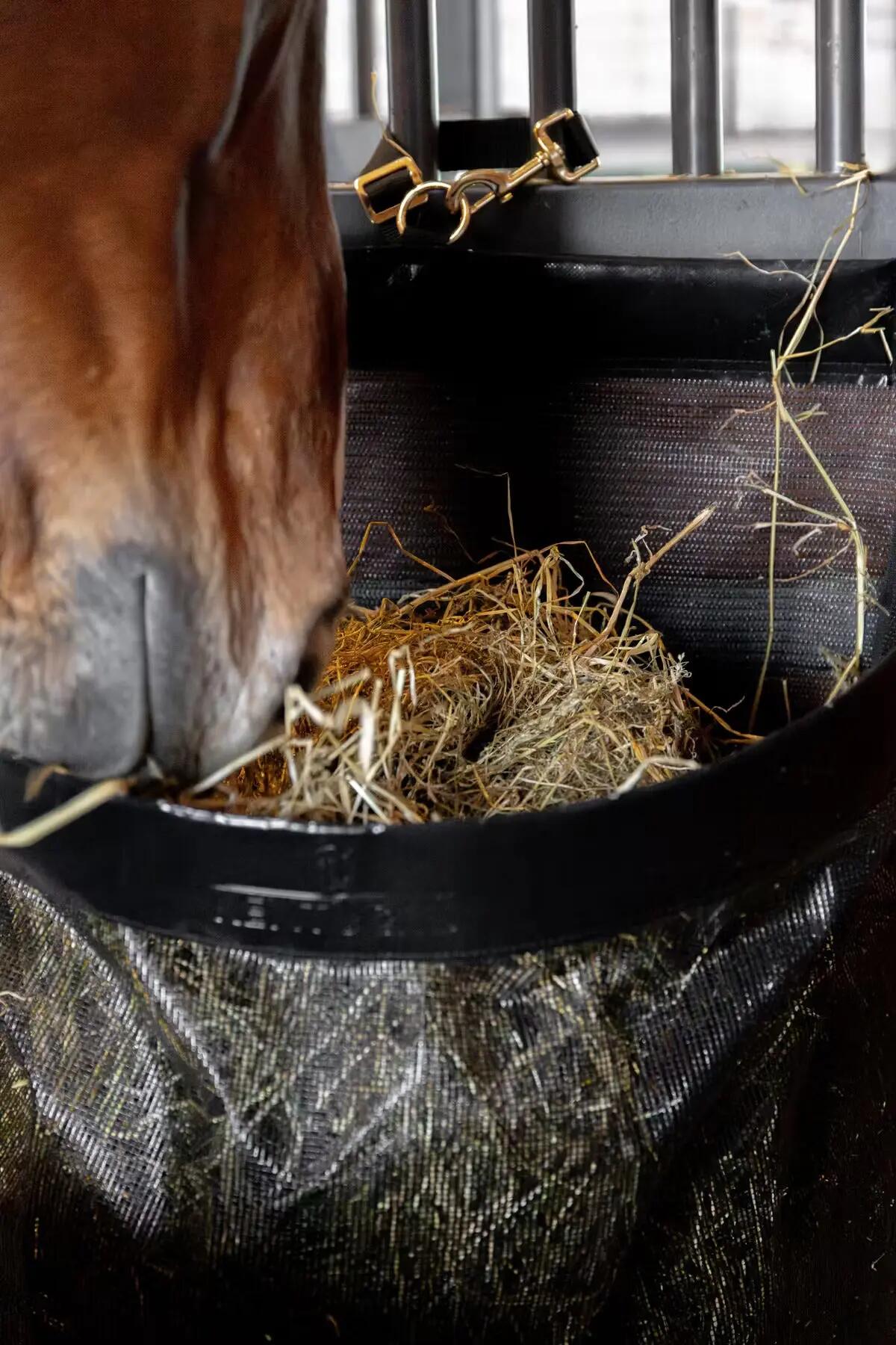 Heusack für Pferde Kentucky Horsewear 3/5