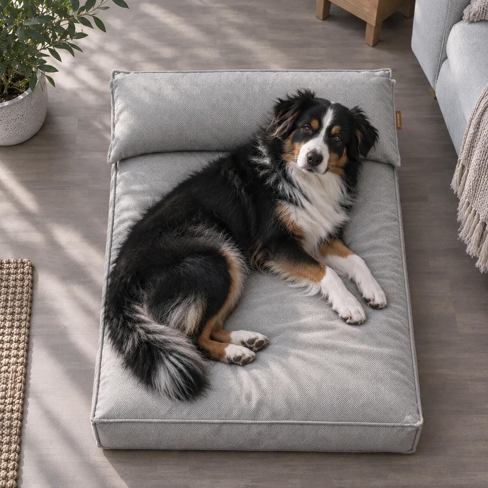 Cuccia Ortopedica per Cani SLUMA – Materasso Memory Foam Lavabile 2/8