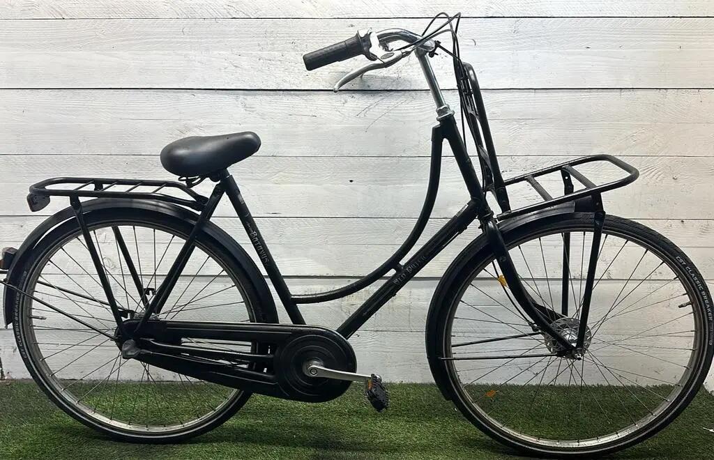 BATAVUS picture