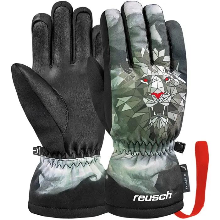 REUSCH picture