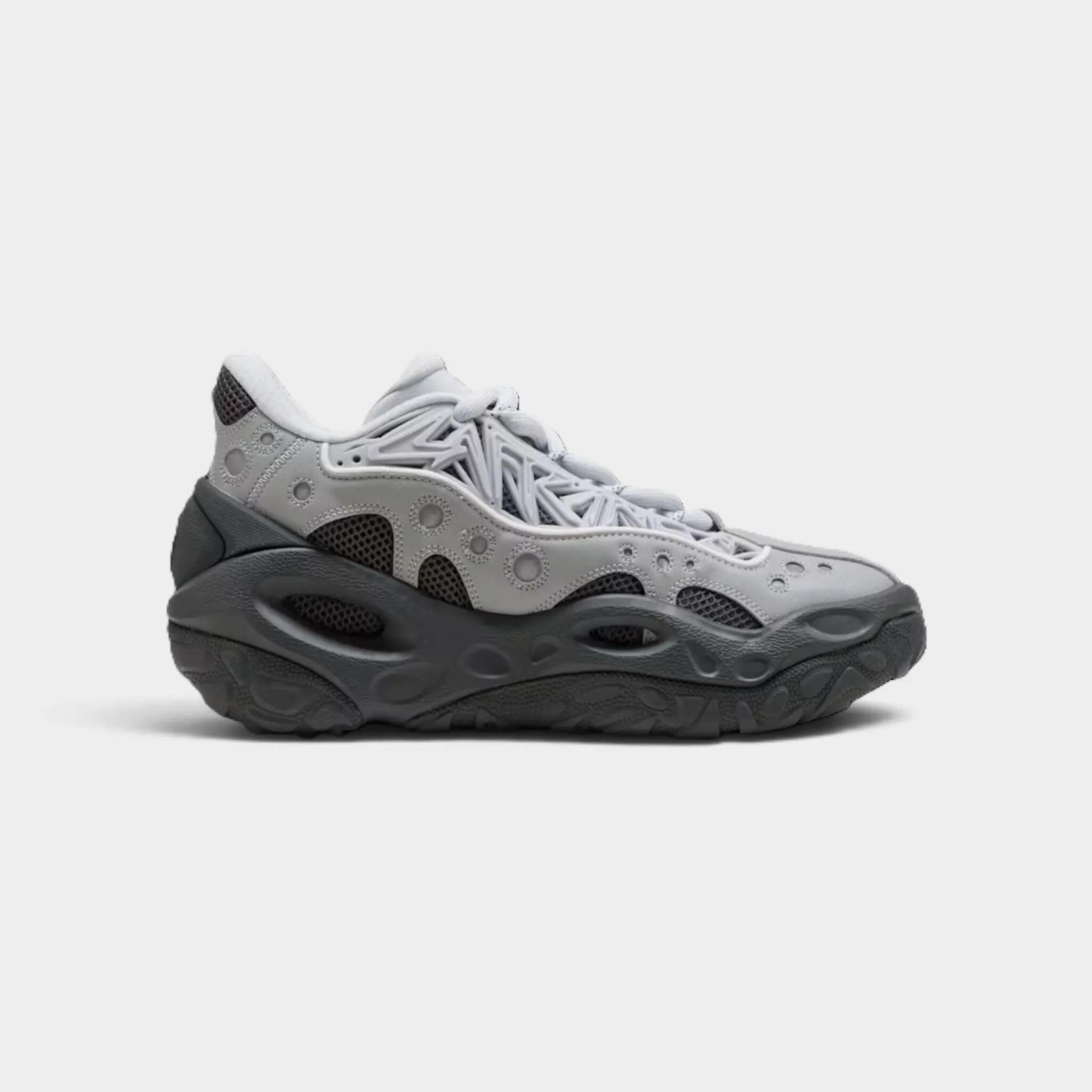 PUMA picture