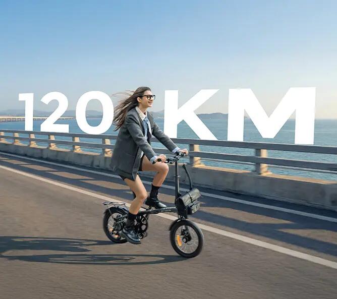 ENGWE ZIP Floding  Electric Bike,250W Motor 36V 10Ah LG Battery 6/7