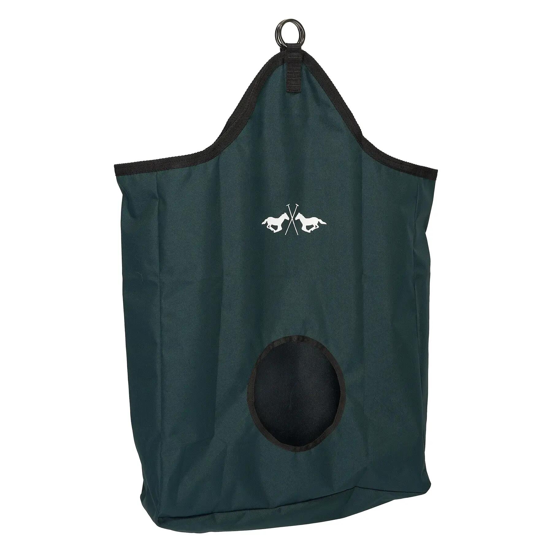 HV POLO picture