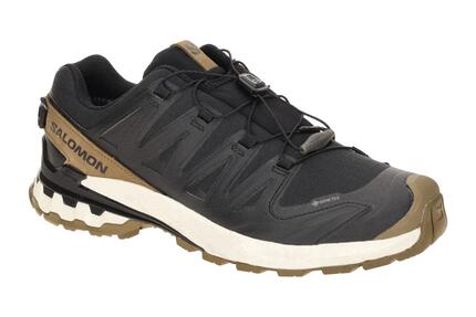 Herren lauf Schuhe Salomon XA Pro 3D V9 GTX