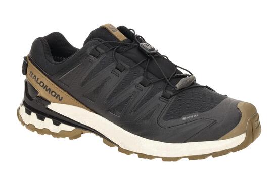 Herren lauf Schuhe Salomon XA Pro 3D V9 GTX