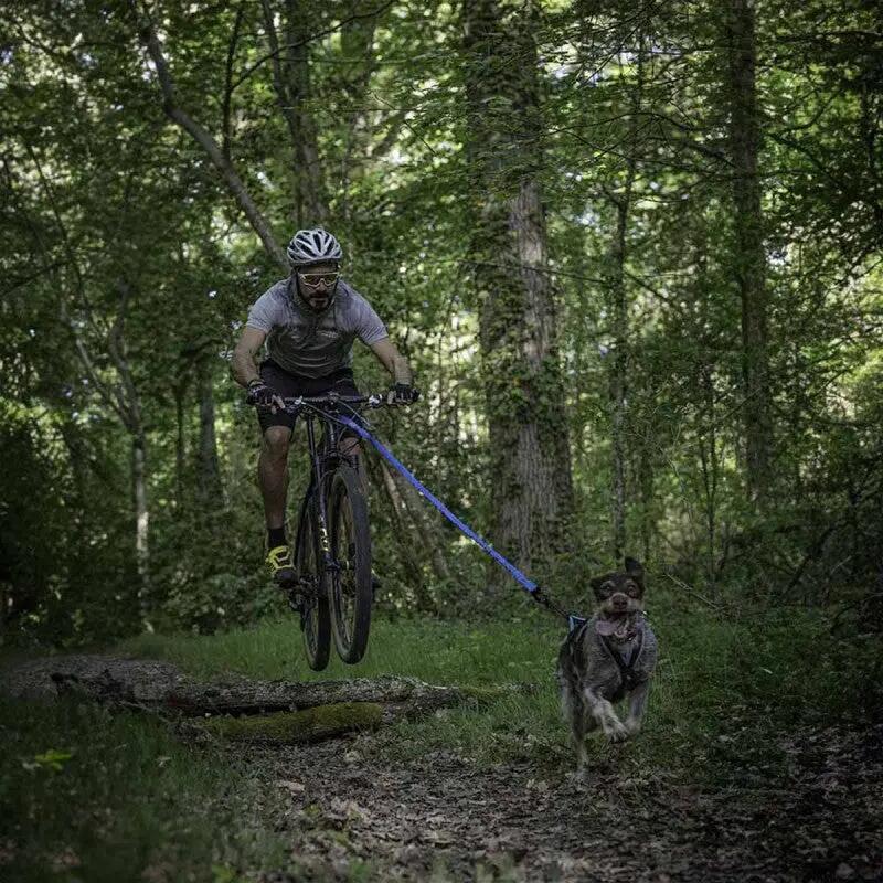 Laisse cani-VTT petit chien Bikejor Leash SD – Inlandsis 5/7