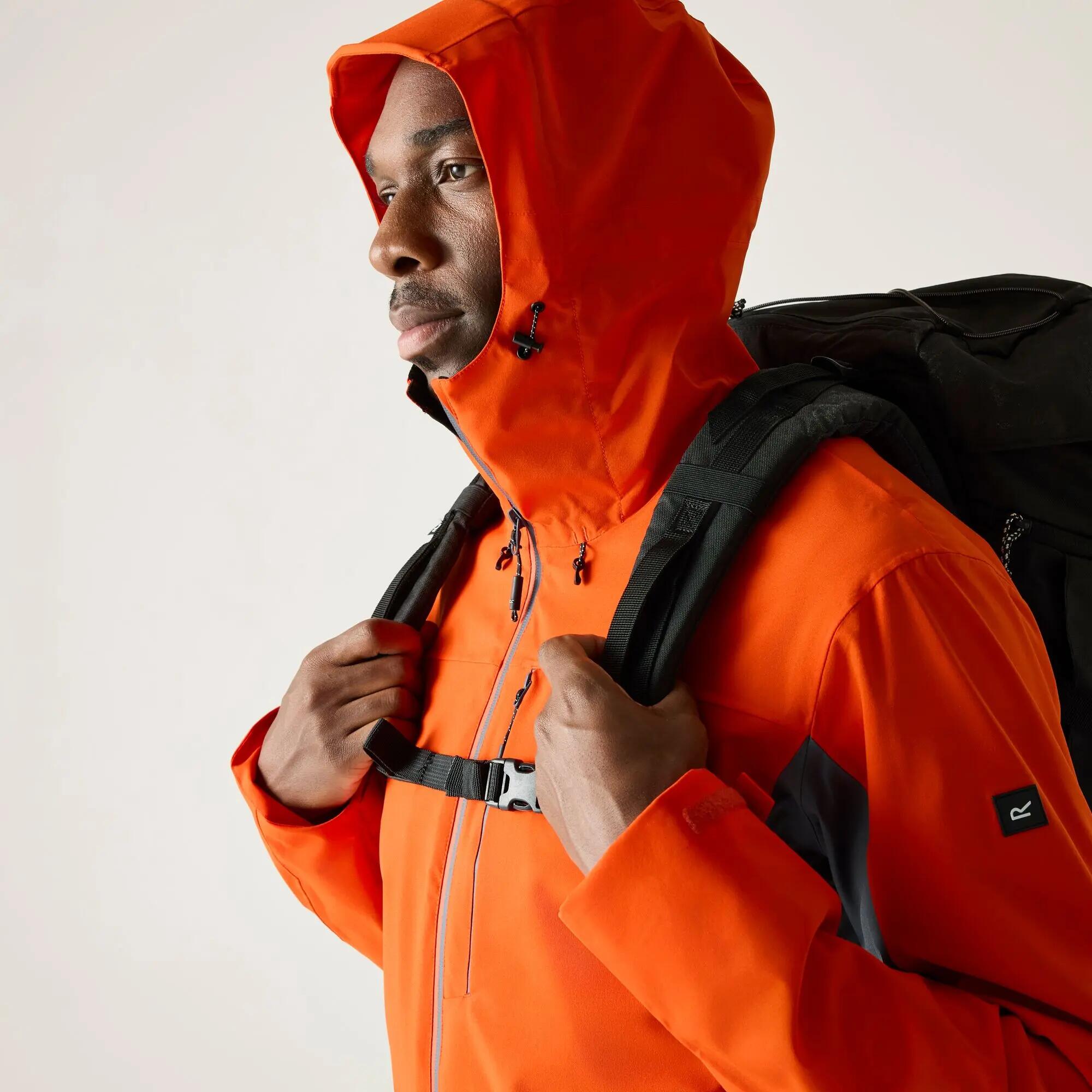 Veste - Birchdale homme 8/12
