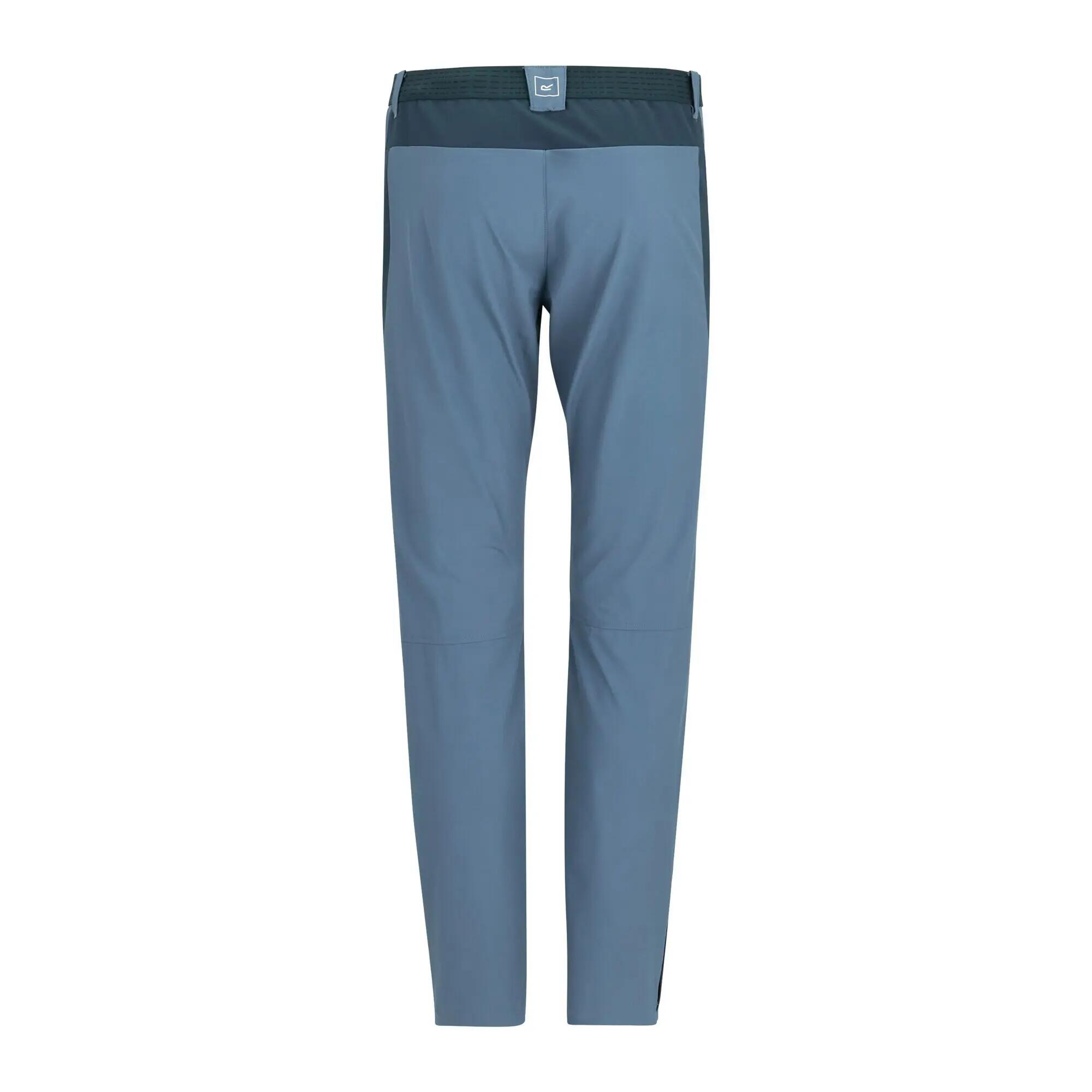 Hiking Trousers Regatta Mountain 8/9