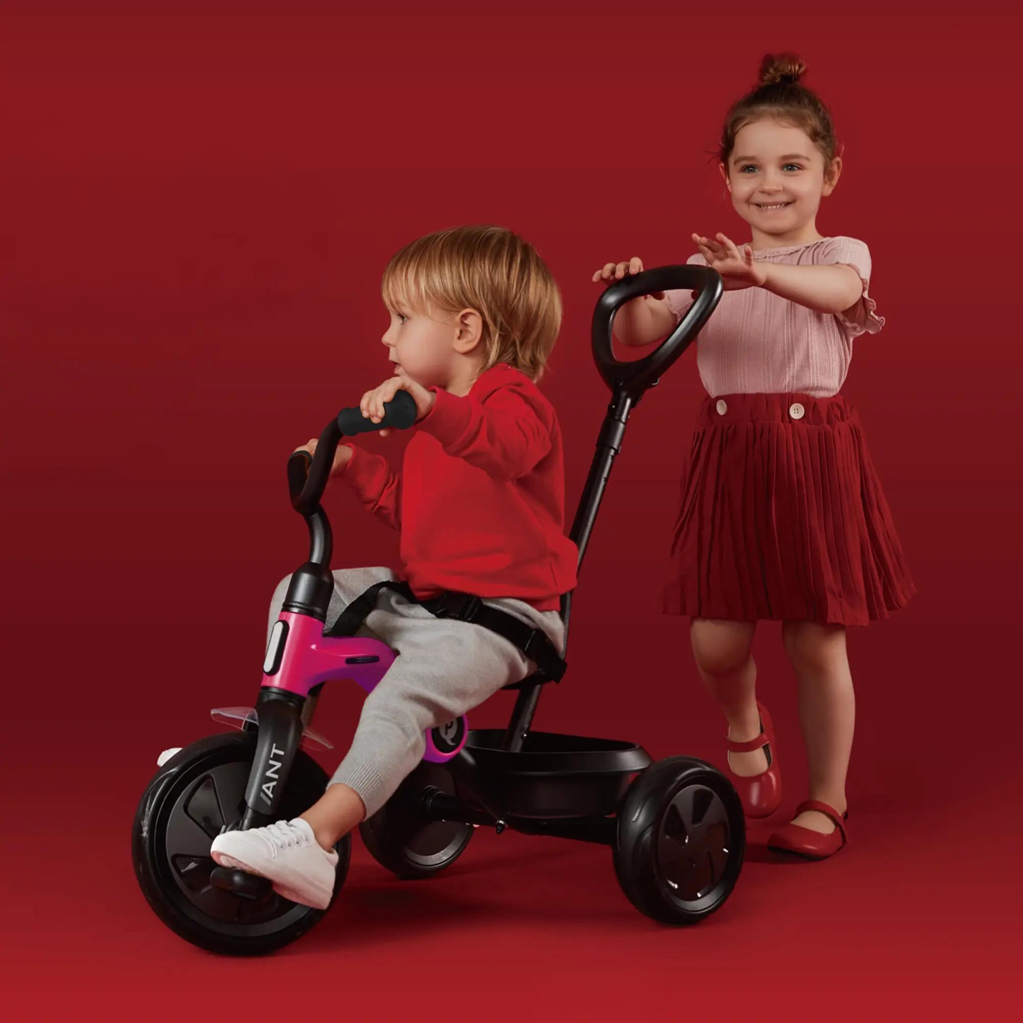 Triciclo Qplay Ant con Maniglia di Spinta 6/8