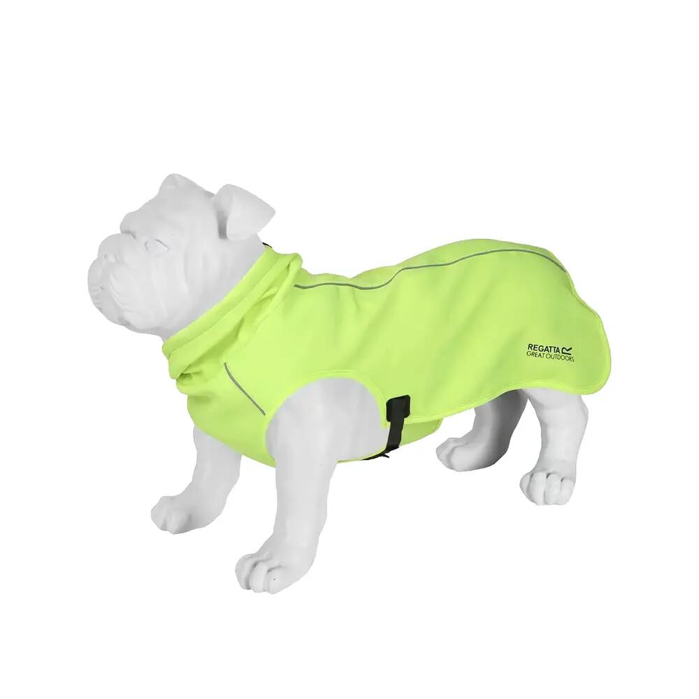Veste softshell Regatta 3/3