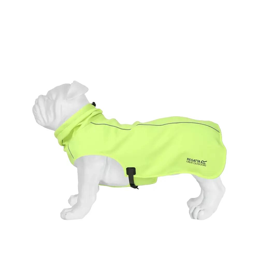 Veste softshell Regatta 2/3