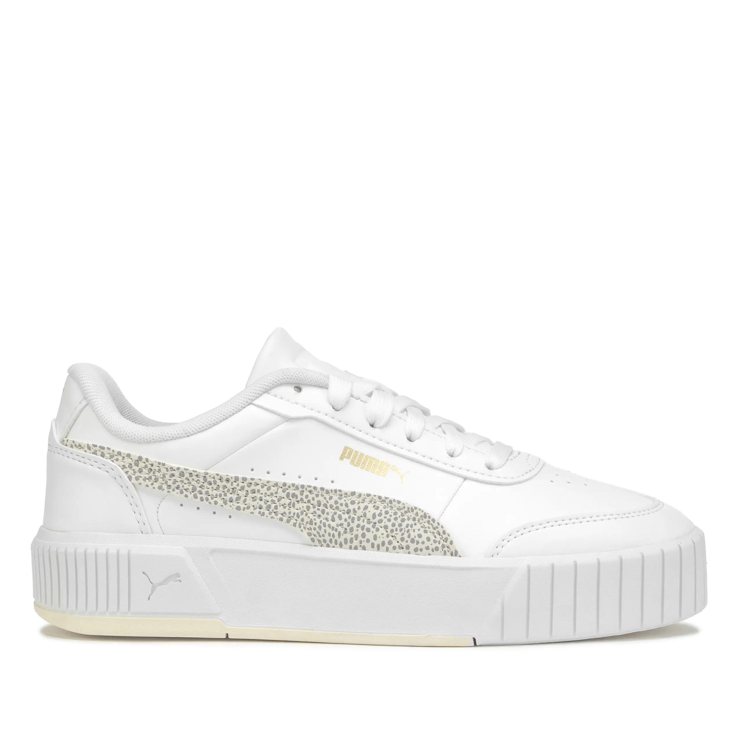 PUMA picture