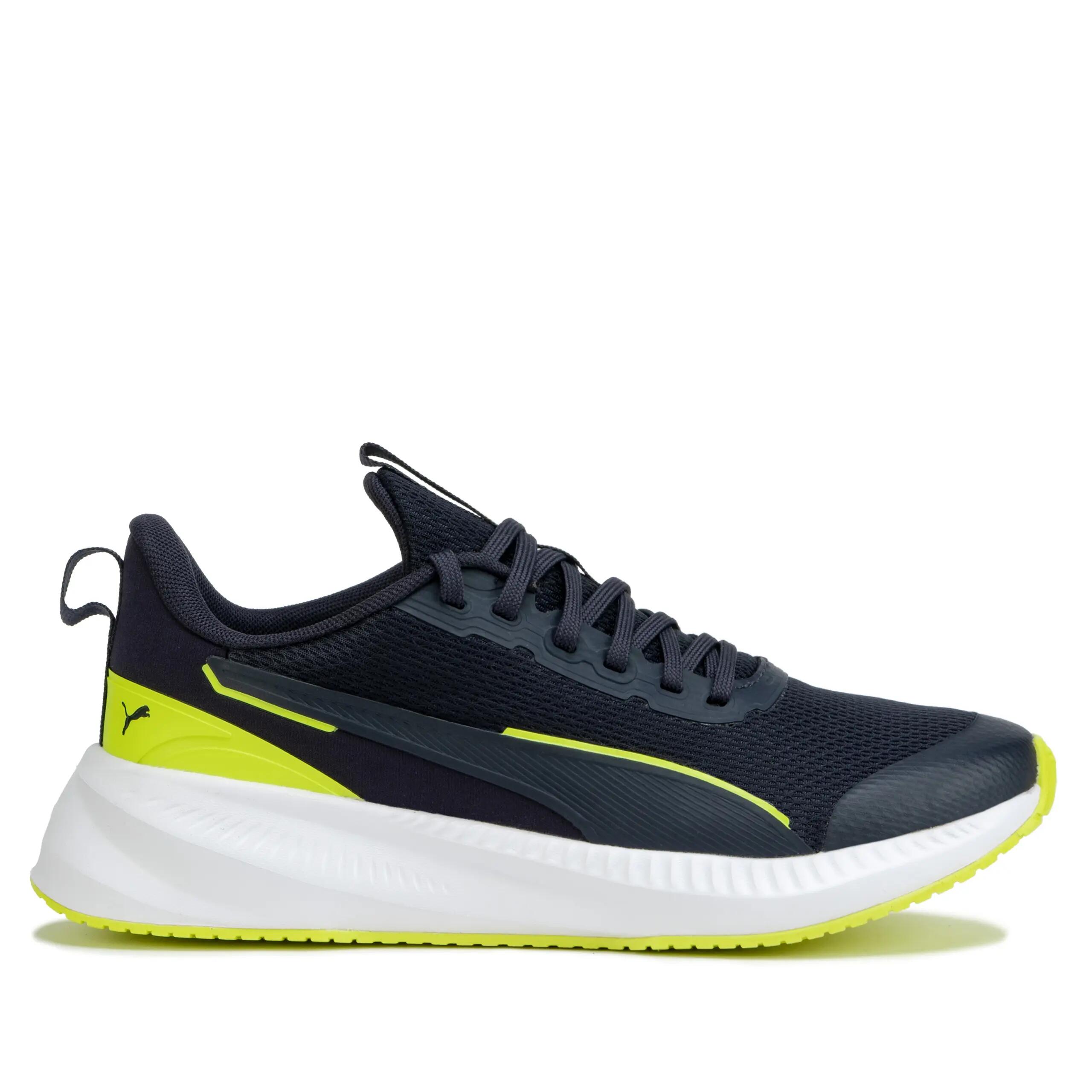 PUMA picture