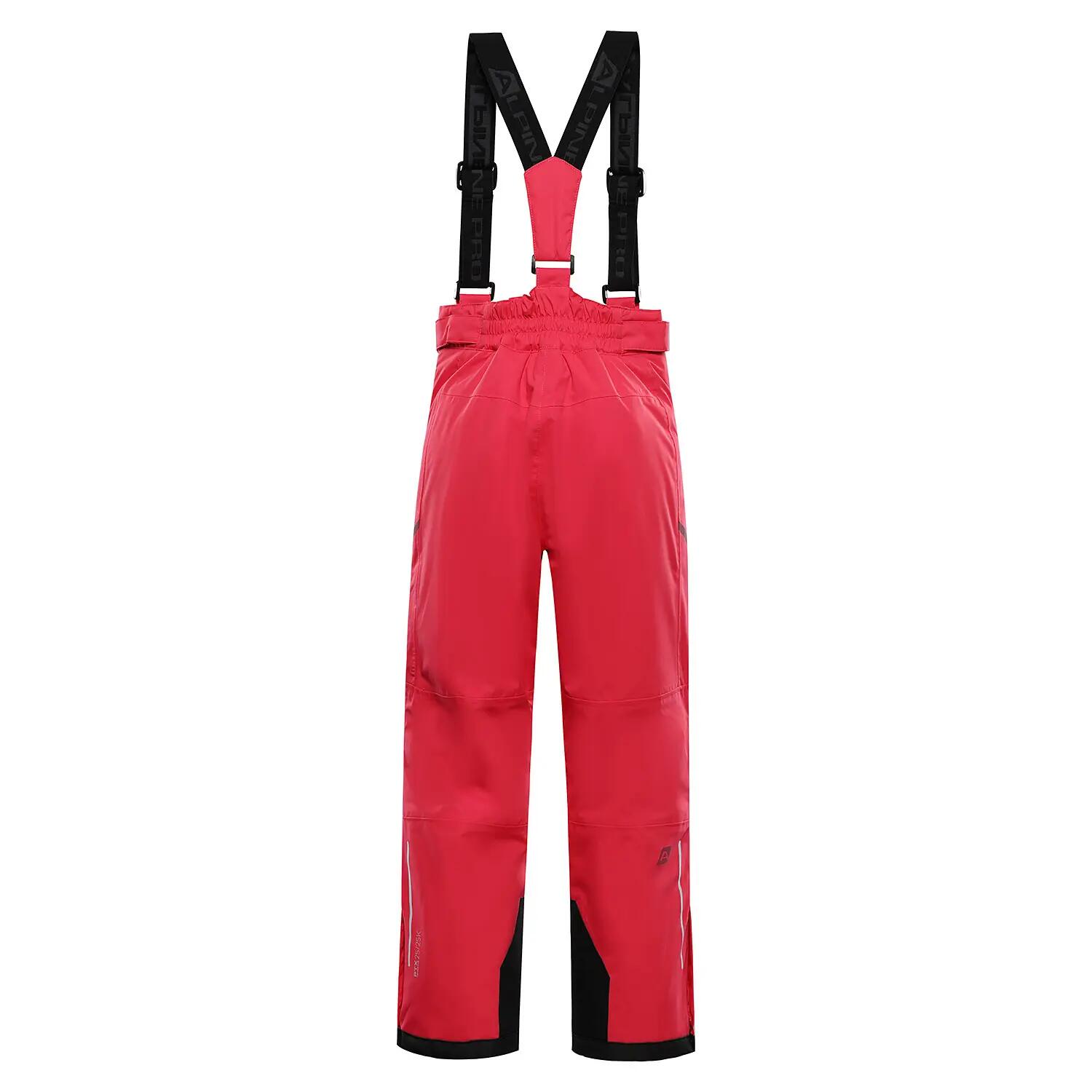 ALPINE PRO picture