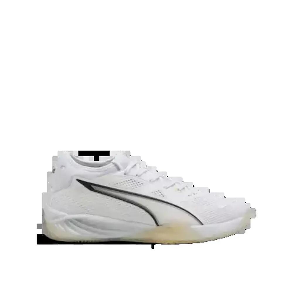 PUMA picture